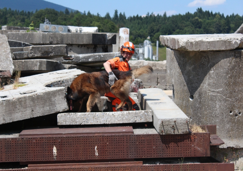 Im Bereich Urban Search and Rescue Team (USAR) ist die Zusammenarbeit mit den Suchhunden der Hunderettungsstaffel unerlässlich, hier an einer Übung in Wangen an der Aare.